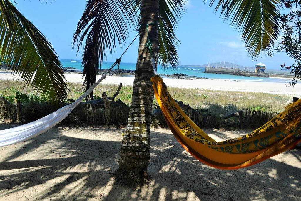 The Isabela Beach House Пуерто-Вільяміль Екстер'єр фото