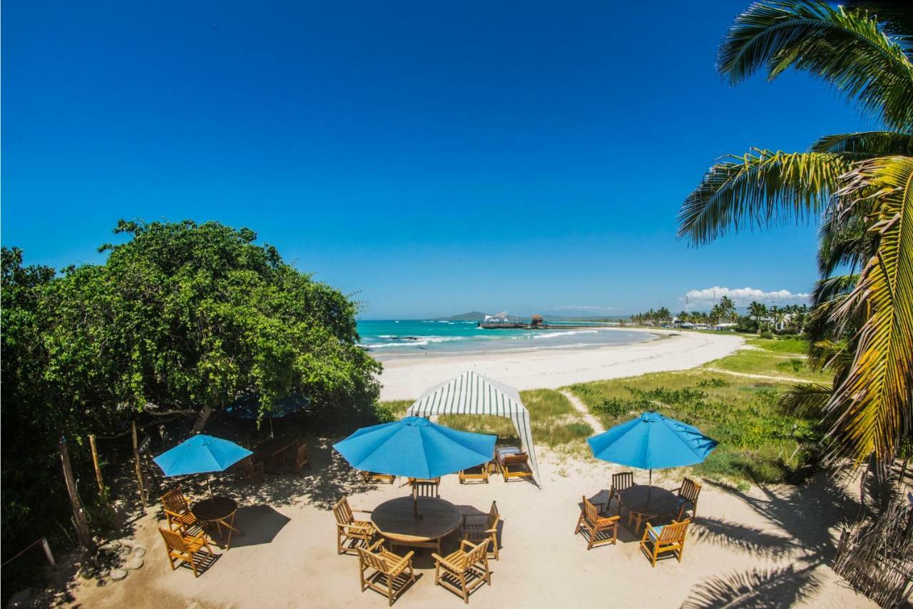 The Isabela Beach House Пуерто-Вільяміль Екстер'єр фото
